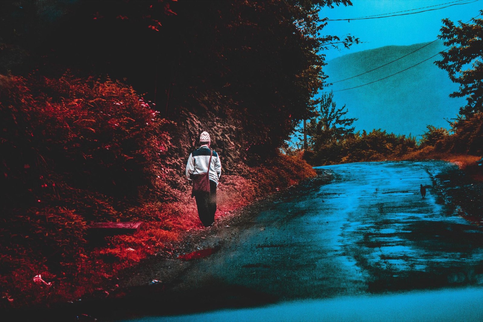 A lone figure walks a misty mountain road, small within a vast landscape